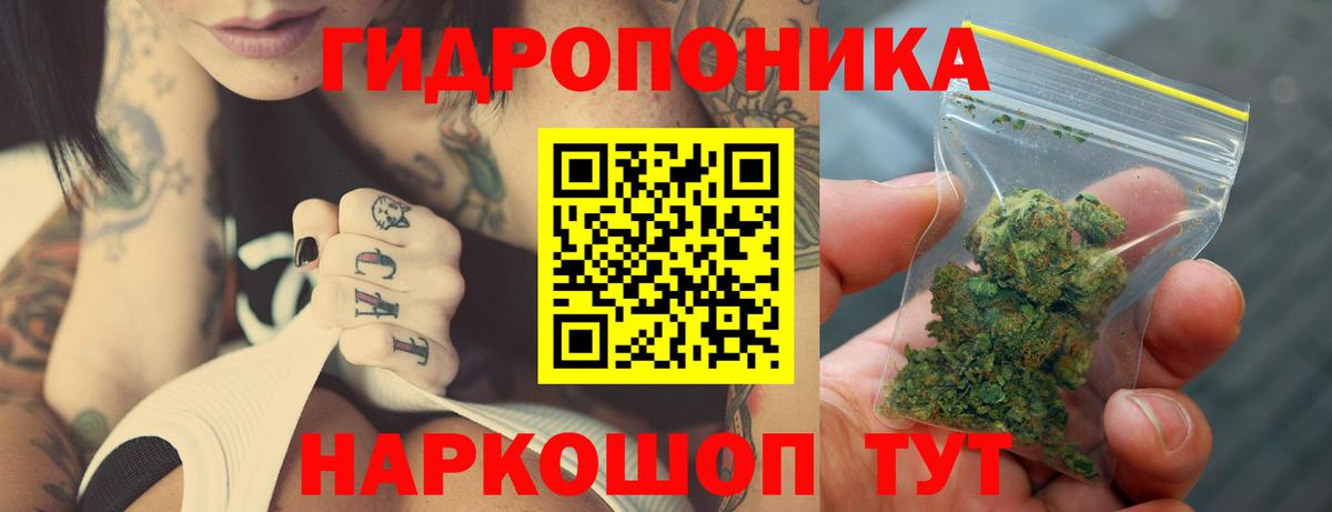 Каннабис OG Kush Балашиха